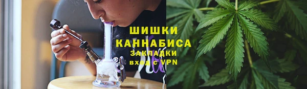 амф Пересвет